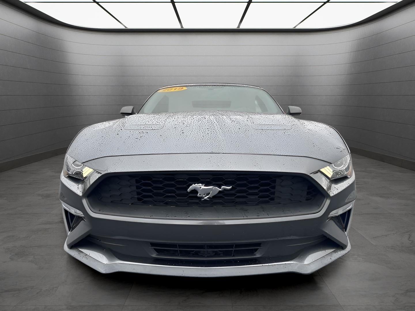 2019 Ford Mustang EcoBoost