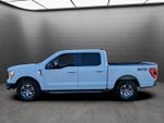 2021 Ford F-150 XL 4WD SuperCrew 5.5' Box