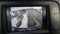 2022 RAM 1500 'Big Horn 4x4 Crew Cab 57'' Box'