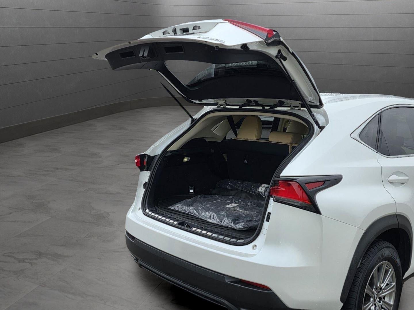 2021 Lexus NX NX 300