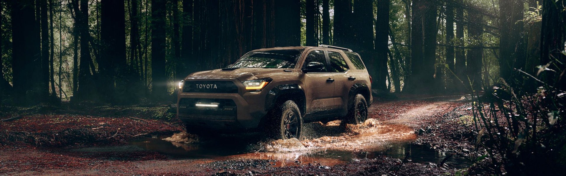 A green jeep driving in the woods.