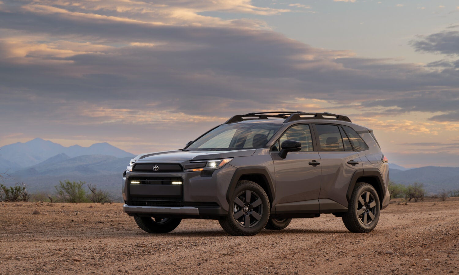 Woodland (Rugged Series) trim.